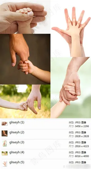 呵护手势摄影素材 呵护手势摄影素材