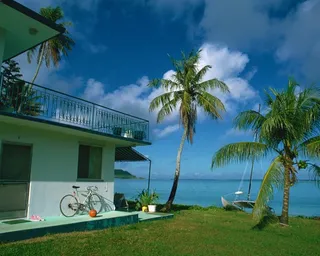 蓝天白云下大海边草地上房屋前的椰树