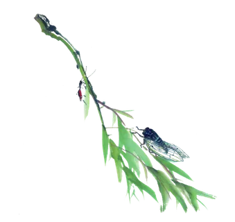 春天绿色春季水墨柳树柳条柳叶春季海报设计PNG免扣素材