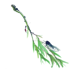 春天绿色春季水墨柳树柳条柳叶春季海报设计PNG免扣素材