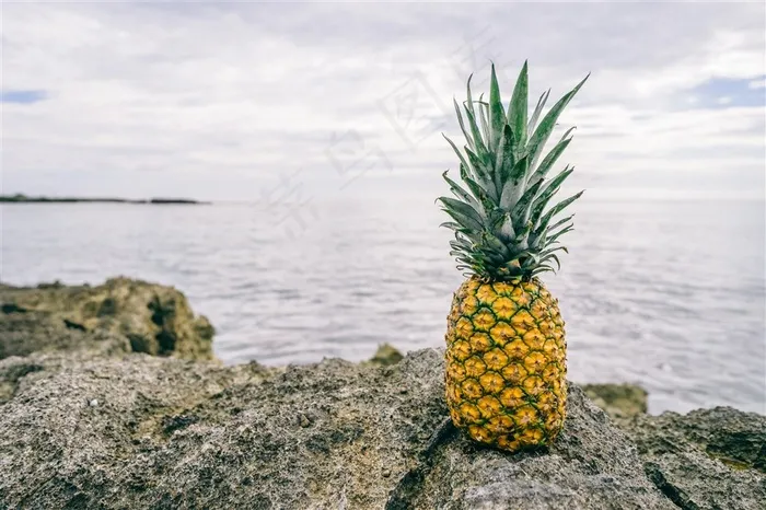 唯美水果菠萝素材图片