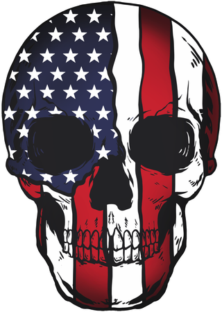 美国国旗骷髅头