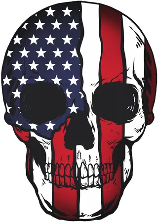 美国国旗骷髅头