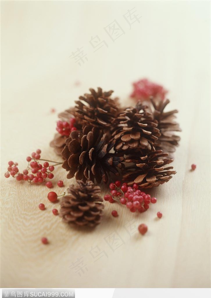 礼物饰品-成熟的褐色松球