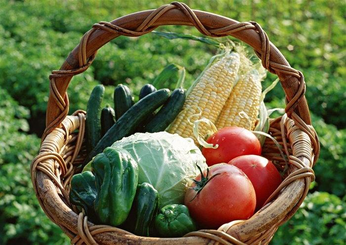 新鲜的蔬菜摄影图片