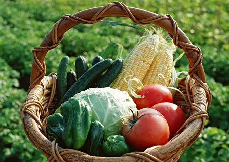 新鲜的蔬菜摄影图片