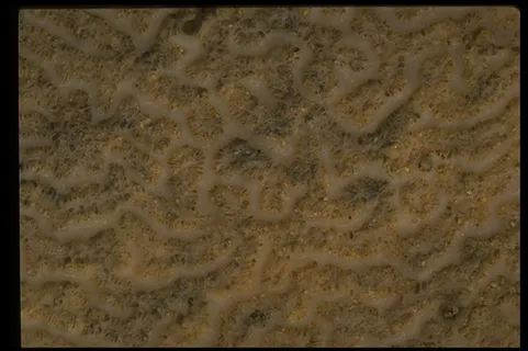各式背景 960 各式背景 960