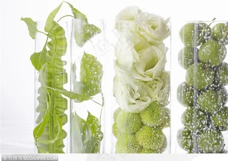 透明玻璃瓶里的各种鲜花和树叶 果子