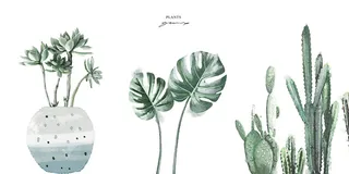 三联叶子绿色装饰画