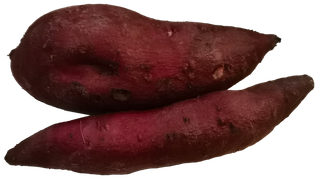 去泥烤红薯紫薯地瓜掰开花青素免抠实拍高清摄影元素素材