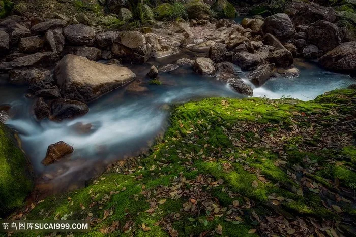 山间溪水流过翠绿草地