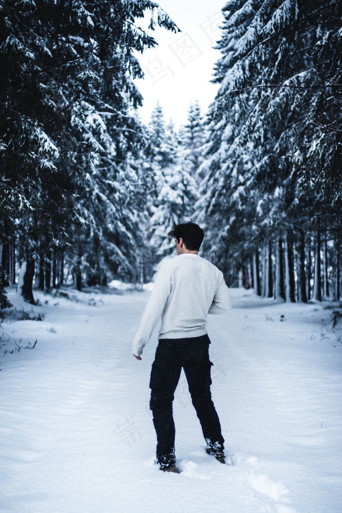 冬季雪地男人背影图片