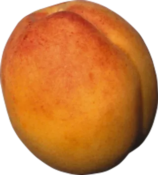 117_peach_PNG4835