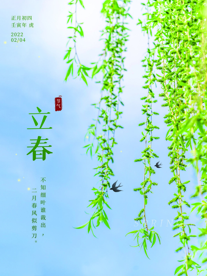 24节气立春春季新春春天海报模板PSD分层设计素材源文件模板