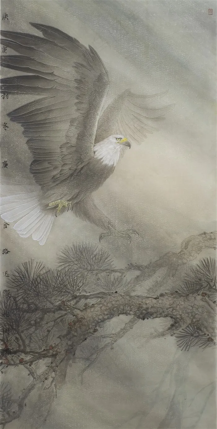游子心老鹰工笔画
