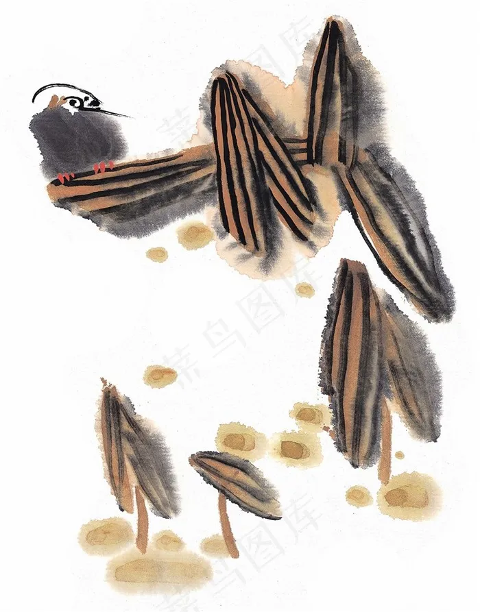 画鸟国画图片美图素材