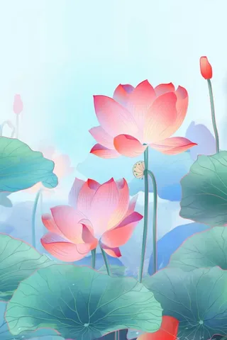 简约清新淡粉色荷花背景