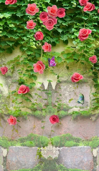 玫瑰花玄关背景墙