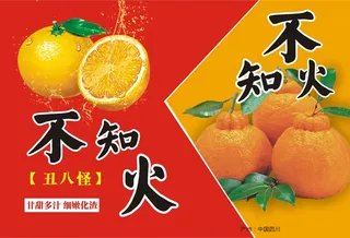 春见不知火耙耙柑