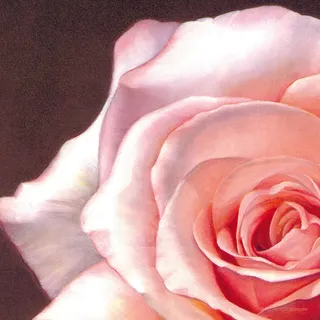 粉色玫瑰花高清油画