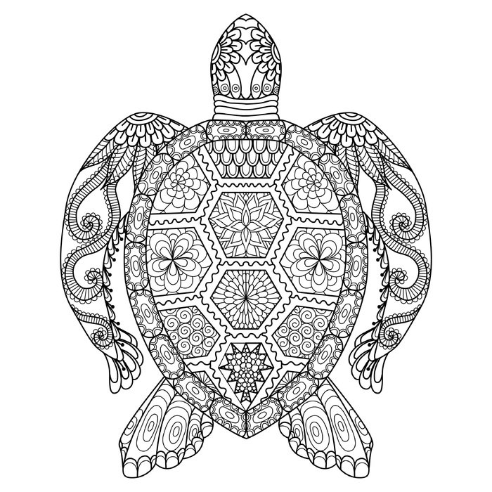 卡通儿童手绘海龟黑白线描