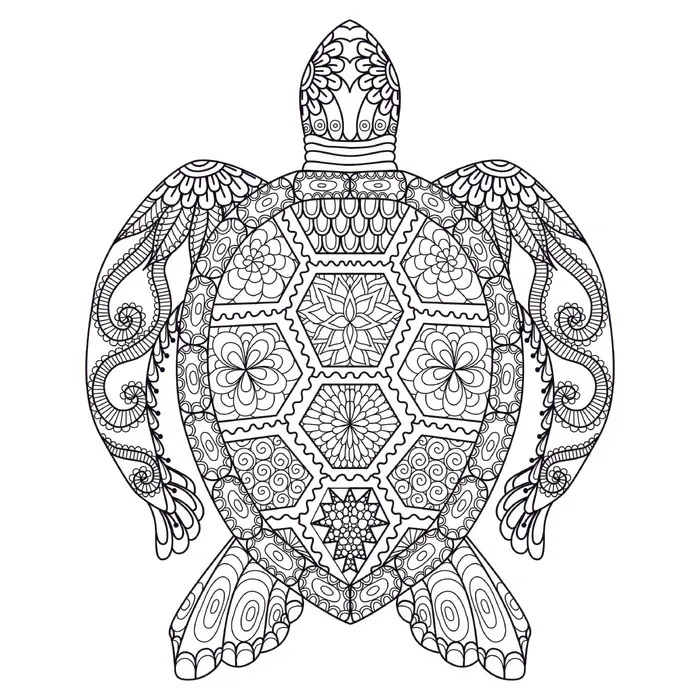 卡通儿童手绘海龟黑白线描eps,ai矢量模版下载