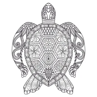 卡通儿童手绘海龟黑白线描