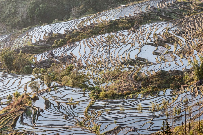 老虎嘴梯田