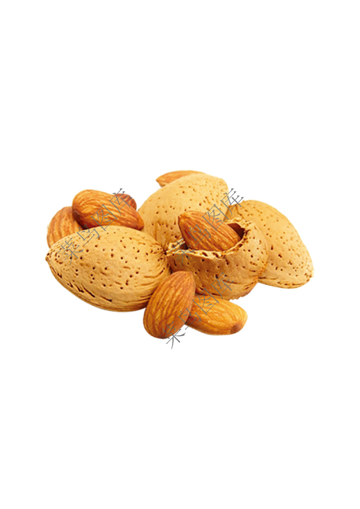 桃仁-坚果高清图