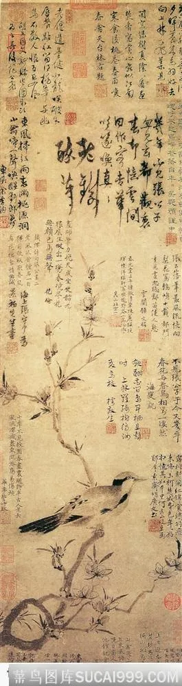 花鸟篇-梅枝上的鸟