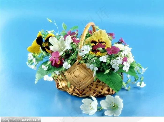 花束物语-竹篮中的花朵