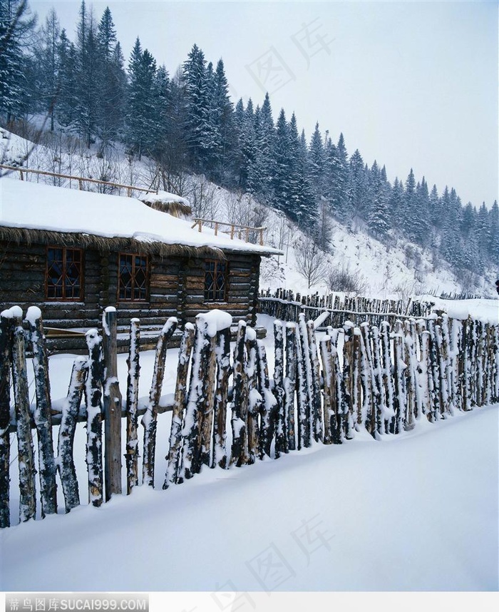 冬日美景-悠长的美丽雪景