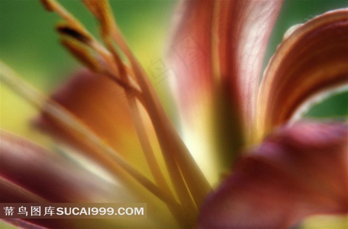 高清图片百何图片艺术处理