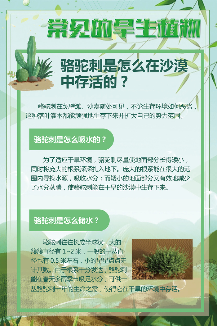 绿色常见的旱生植物psd模版下载