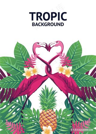 火烈鸟时尚唯美矢量插画