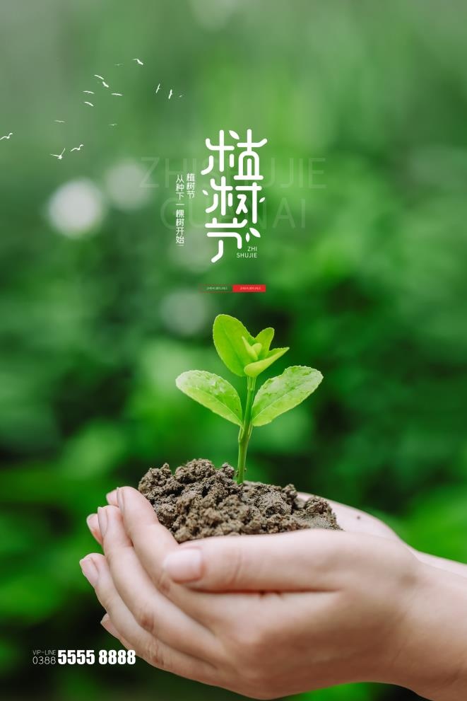 植树节3.12海报