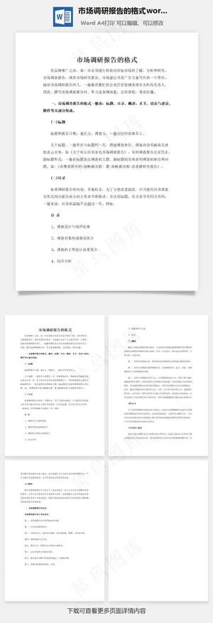 市场调研报告的格式word文档