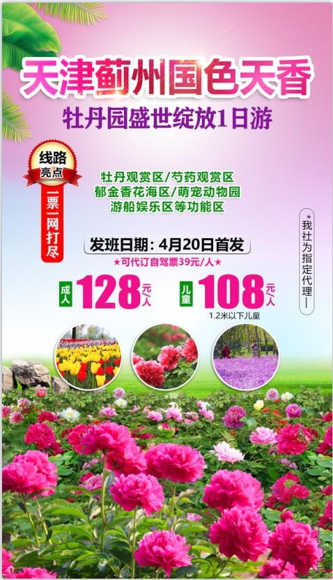 牡丹园花海旅游海报psd模版下载