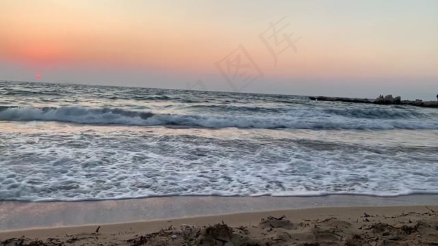 海滩, 狗, 海, 宠物, 沙, 动物, 自然, 夏天