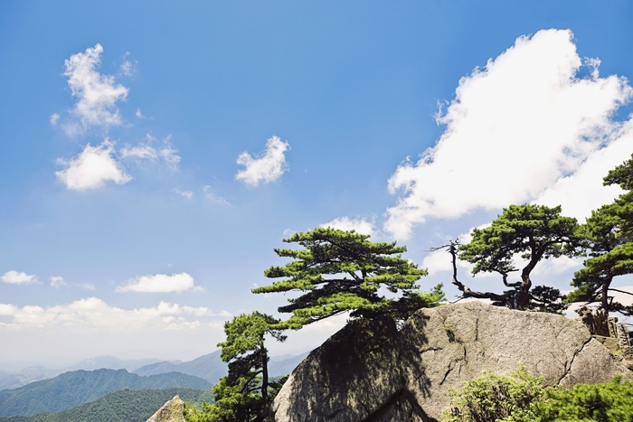 安徽黄山风景图片-第65张