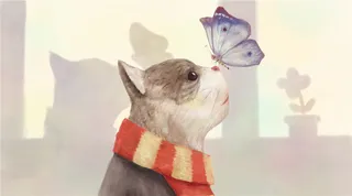 小猫咪蝴蝶温馨插图