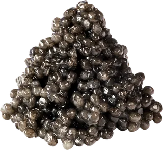 鱼子酱现代农业