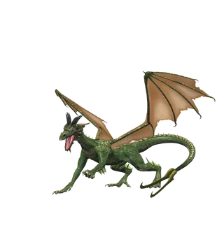 龙 飞龙火龙飞天龙喷火龙