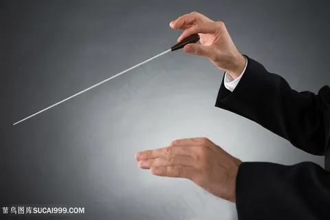 合唱指挥标准手势图片