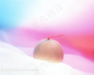 哈密瓜高清摄影素材