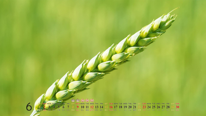 自然风光 高清壁纸 (179)