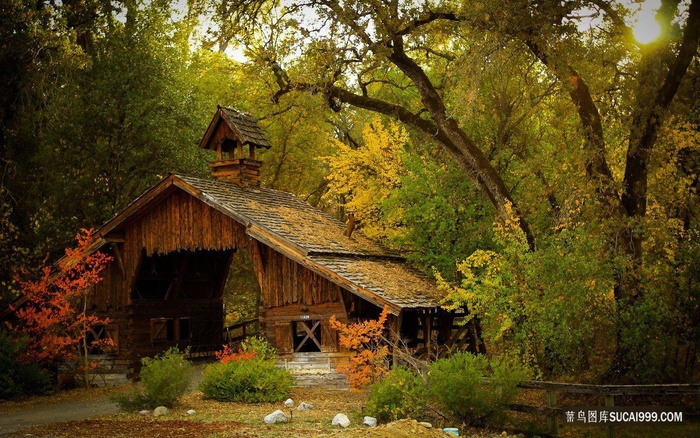 森林中的房子幽静