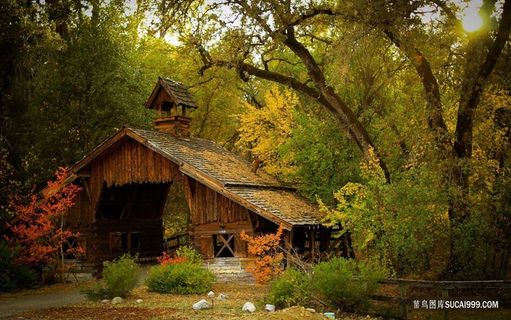 森林中的房子幽静