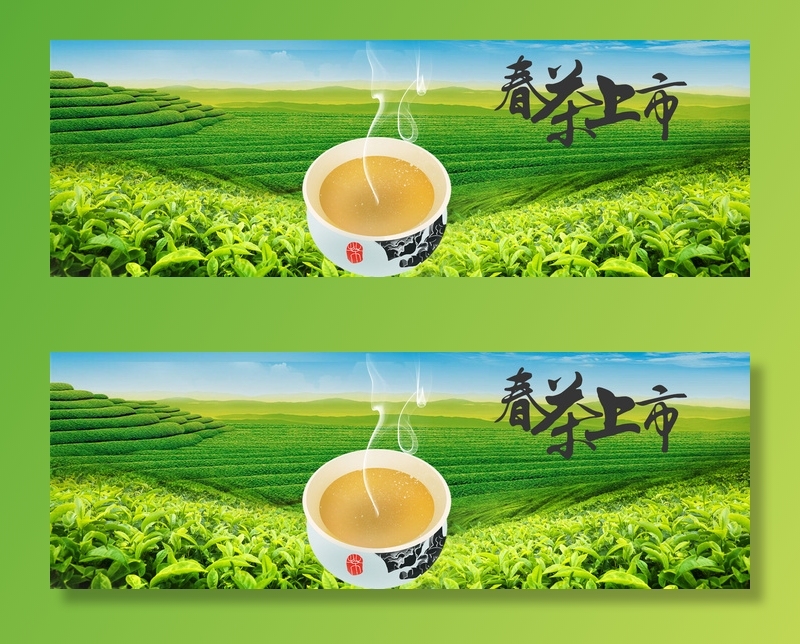 设计茶叶春茶上市素材psd模版下载