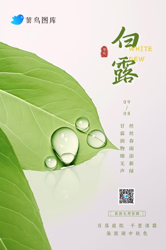 白露简约清新树叶绿叶节气海报(2362x3543)psd模版下载